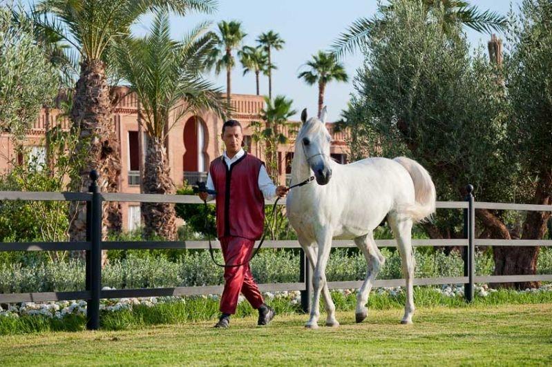 Отель Selman Marrakech El Makina Удобства фото