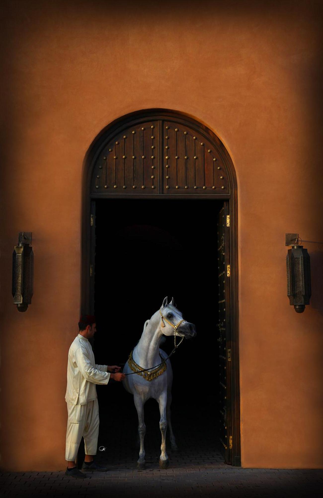 Отель Selman Marrakech El Makina Экстерьер фото